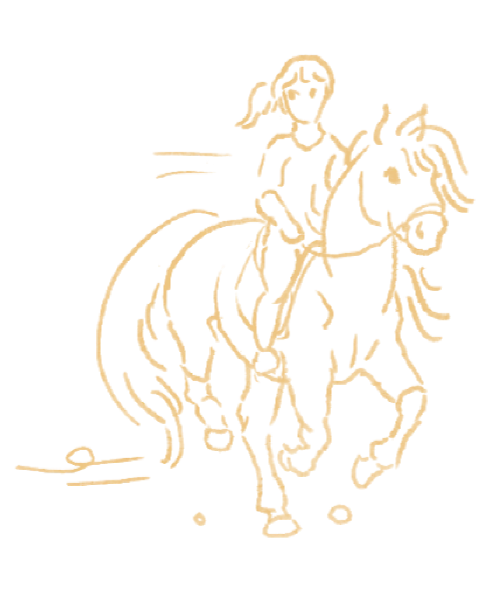 A sketch drawing of a horse running
